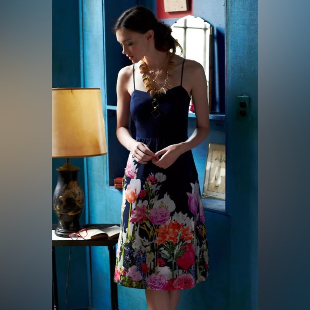 🍸Stunning Anthropologie Aven Bloom Dress